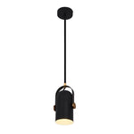Rotatable Industrial Pendant Light Ha076314