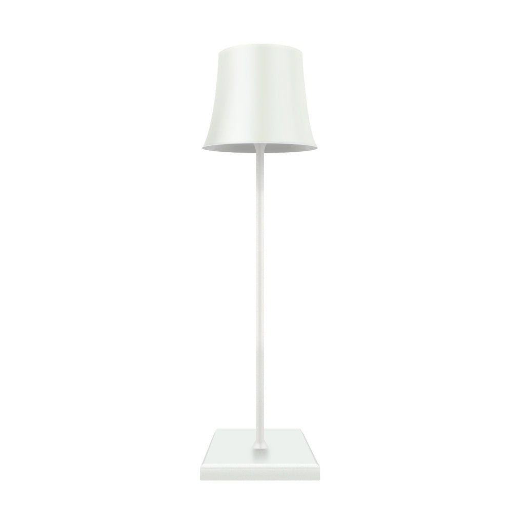 15 Inch Cordless Modern Cool Hue Metal Table Lamp Black White