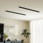 Modern Minimalist Ceiling Lamp