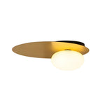 1 Light Led Oval Metal White Glass Flush Mount Ceiling Light
