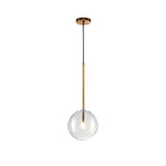 1 Light Clear Glass Globe Pendant Light Modern Hanging Lighting Fixture