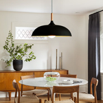 Modern Simple Dome Pendant Light