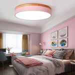 Lighting Ceiling Lights Flush Mount Lighting_4Wqar