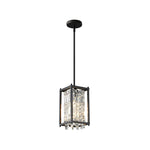 Iron Frame Modern Ceiling Light Li002701