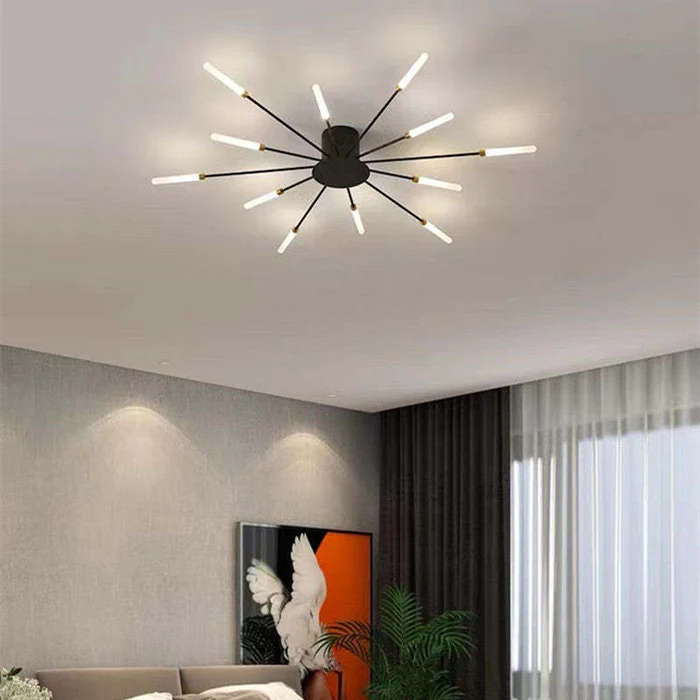 Fireworks Ceiling Lights