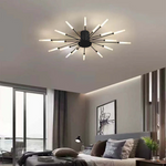 Fireworks Ceiling Lights
