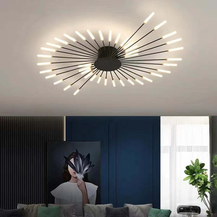 Fireworks Ceiling Lights