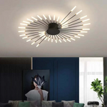 Fireworks Ceiling Lights