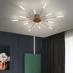 Fireworks Ceiling Lights