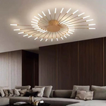 Fireworks Ceiling Lights