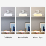 Sleek Flush Mount Ceiling Fan With Led Light