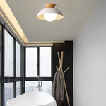 Semi Flush Ceiling Light Modern