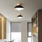 Semi Flush Ceiling Light Modern