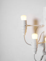 fruit-wall-lamp