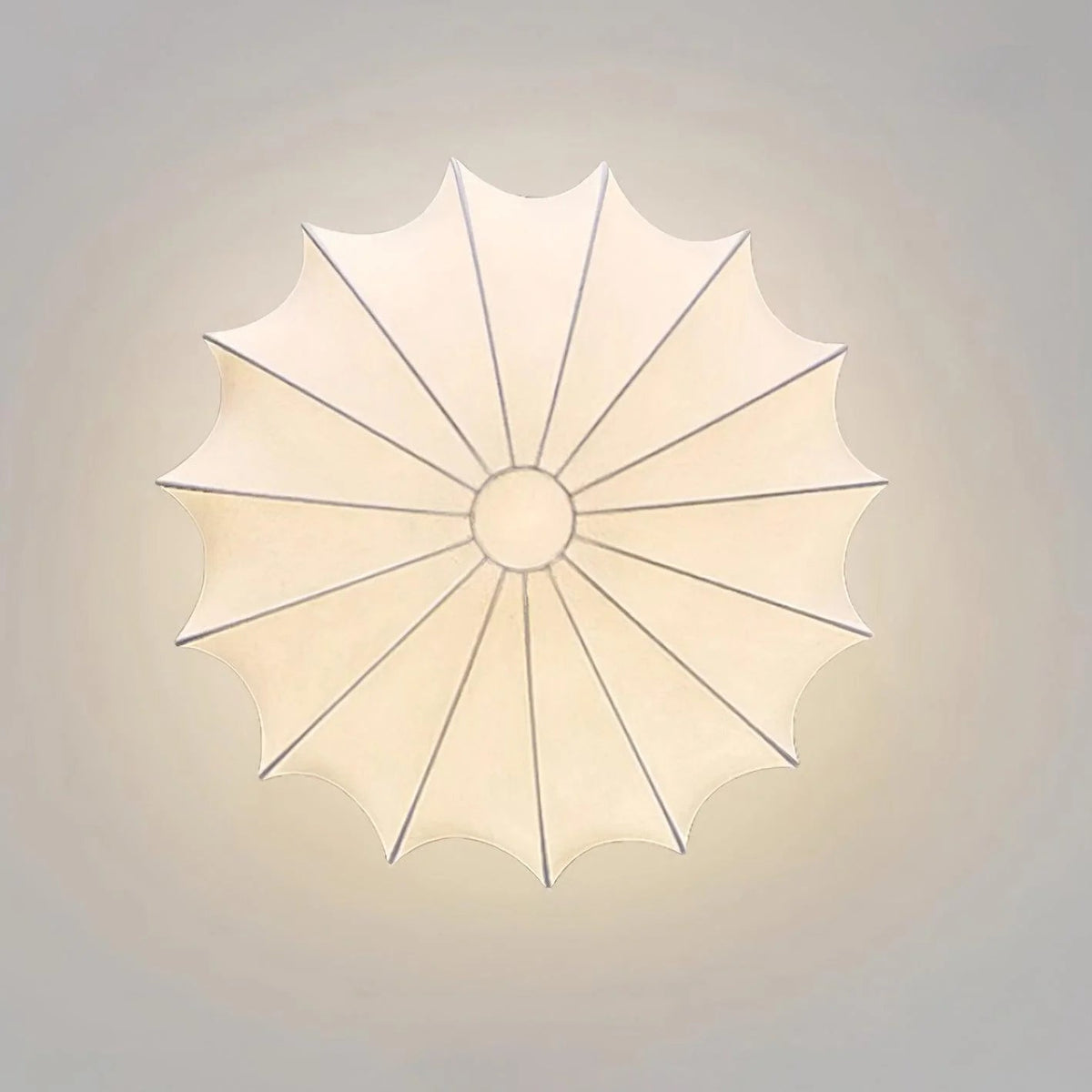 Haze Globe Ceiling Lamp