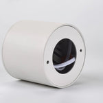 Lumepoint Ceiling Light