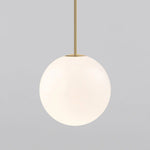 Brassform Pendant Light