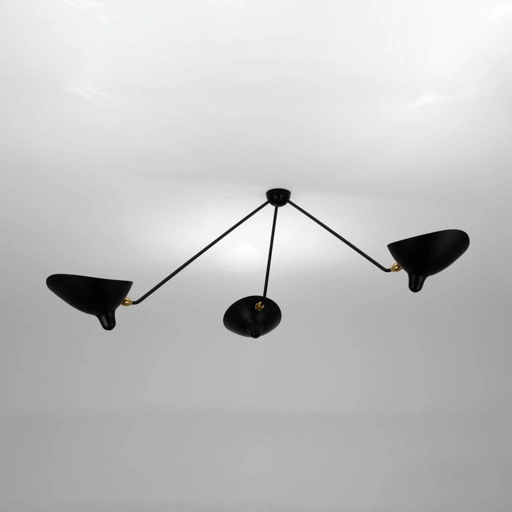Celestial Curve Ceiling Light