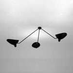 Celestial Curve Ceiling Light