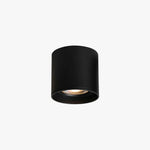 Lumepoint Ceiling Light