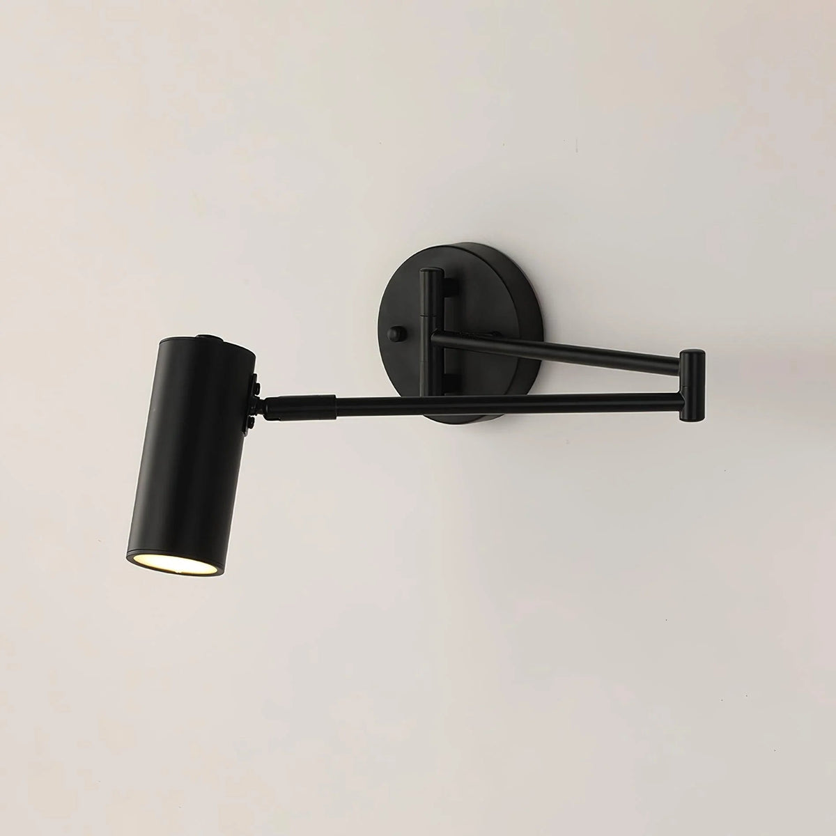 Flexible Arm Wall Light