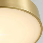 Axiom Rotating Ceiling Light