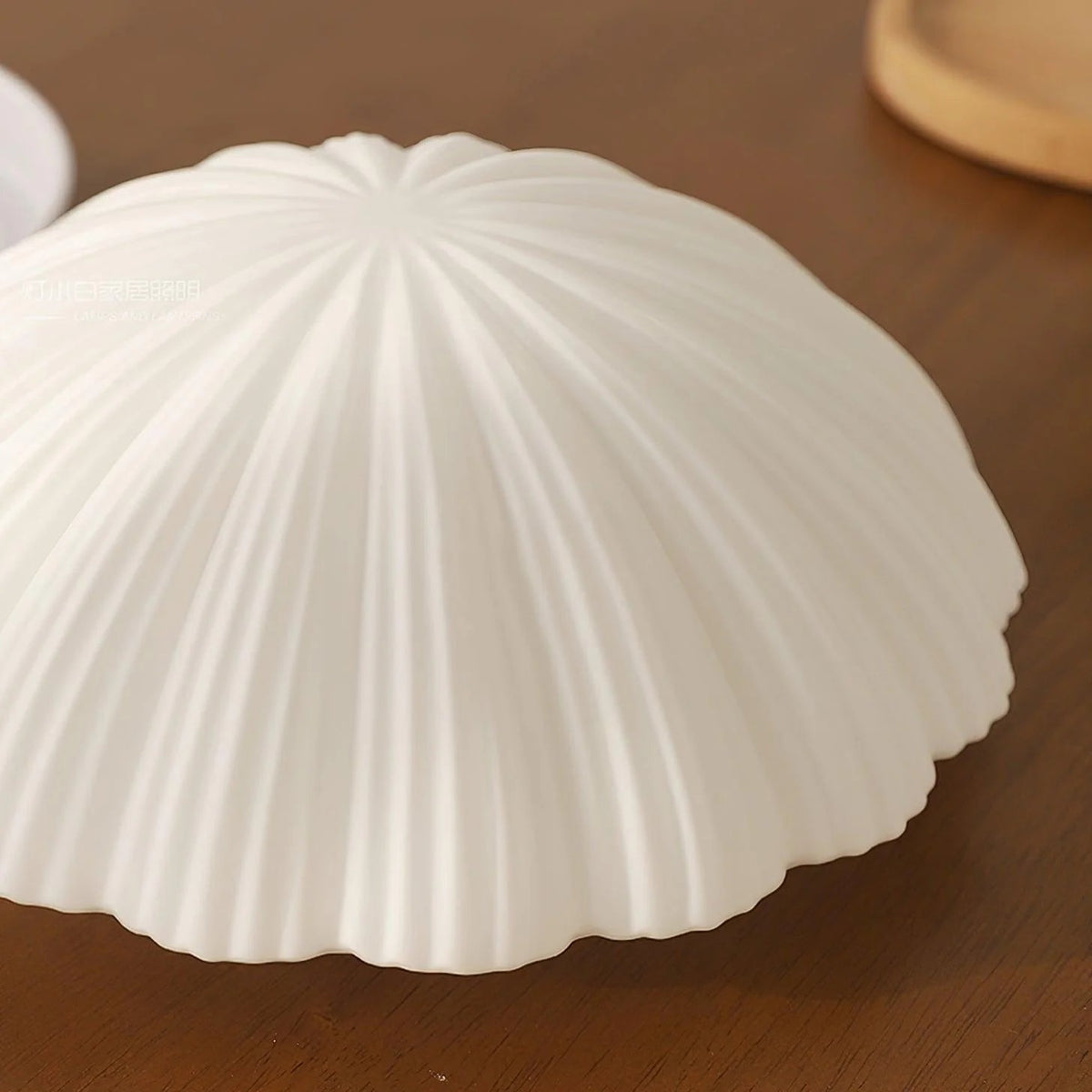 Aurora Shell Ceiling Light