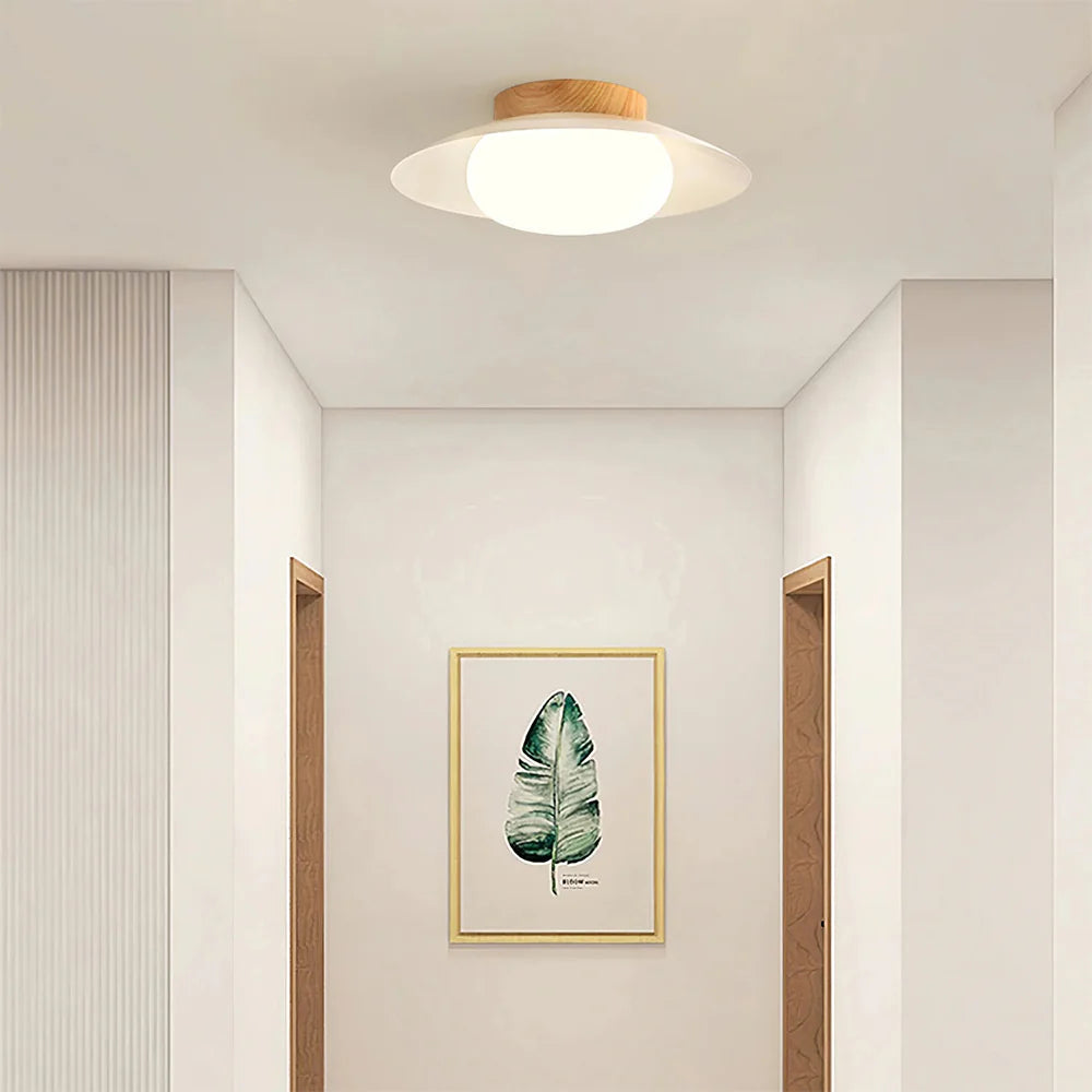 Pure Halo Ceiling Light