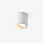 Lumepoint Ceiling Light