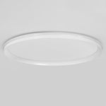 Lighting Ceiling Lights Flush Mount Lighting_Tli00168