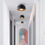 Terraglow Ceiling Light