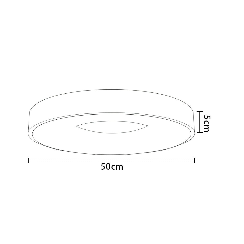 Modern Simple Colorful Ceiling Light