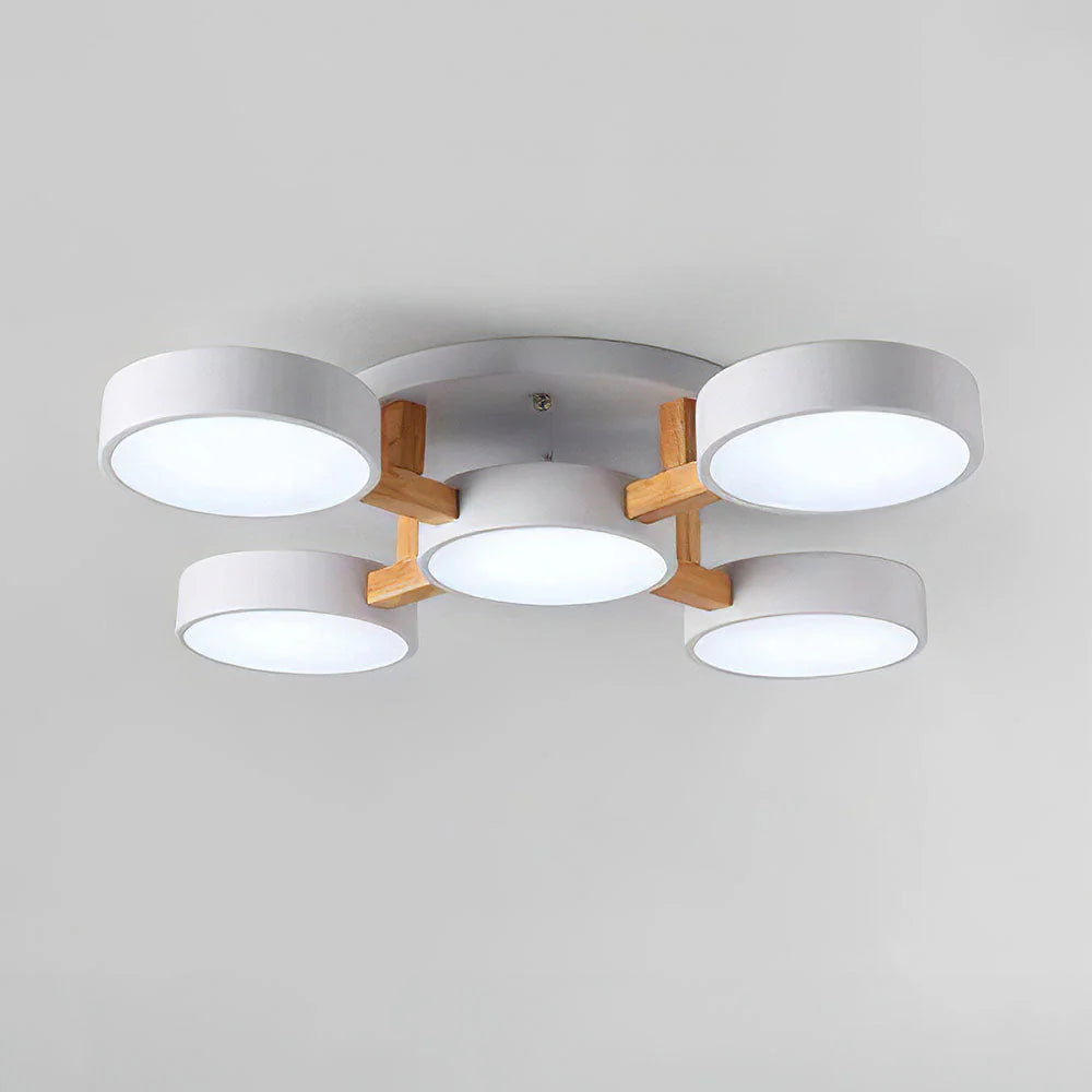 Lumi Cluster Acrylic Ceiling Light