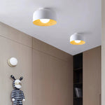 Terraglow Ceiling Light