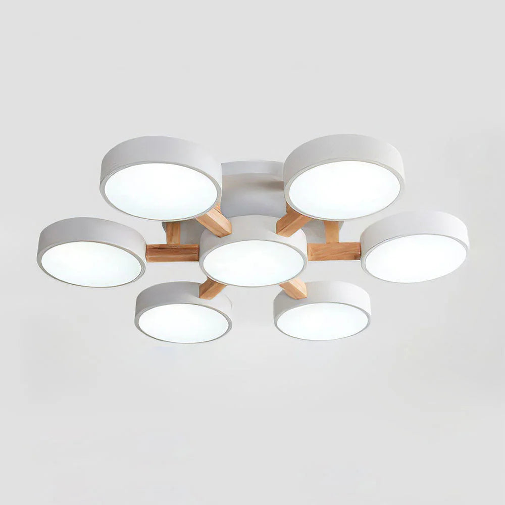 Lumi Cluster Acrylic Ceiling Light