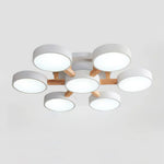 Lumi Cluster Acrylic Ceiling Light