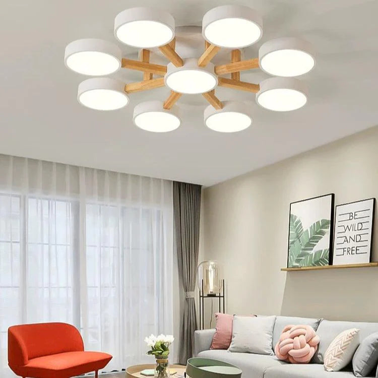 Lumi Cluster Acrylic Ceiling Light