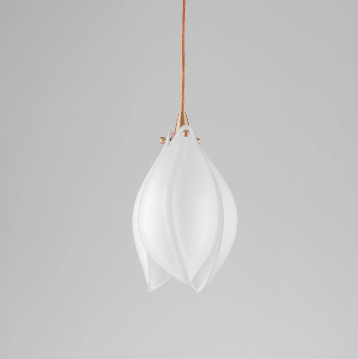Starlight Petal Pendant Light