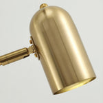 Gooseneck Wall Light