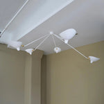 Celestial Curve Ceiling Light