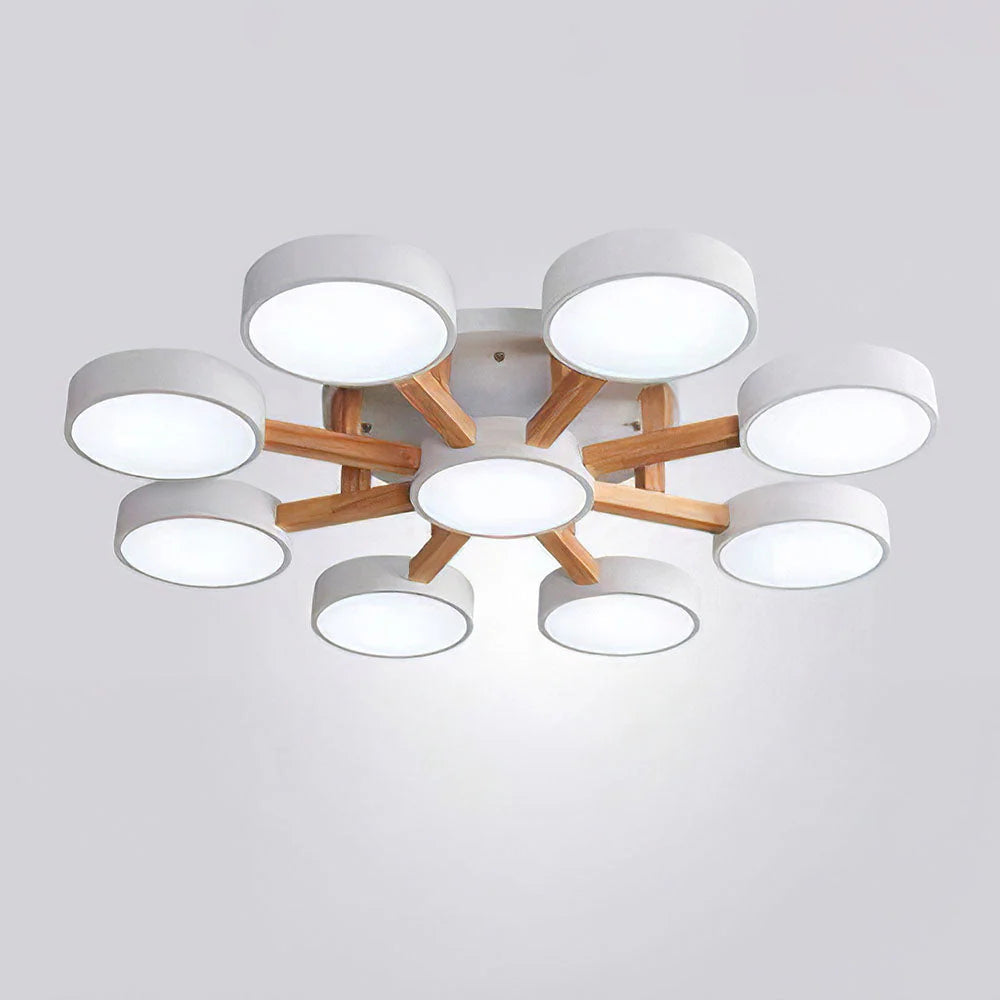 Lumi Cluster Acrylic Ceiling Light