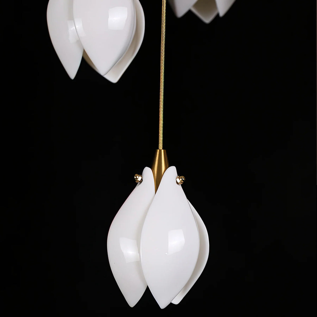Starlight Petal Pendant Light