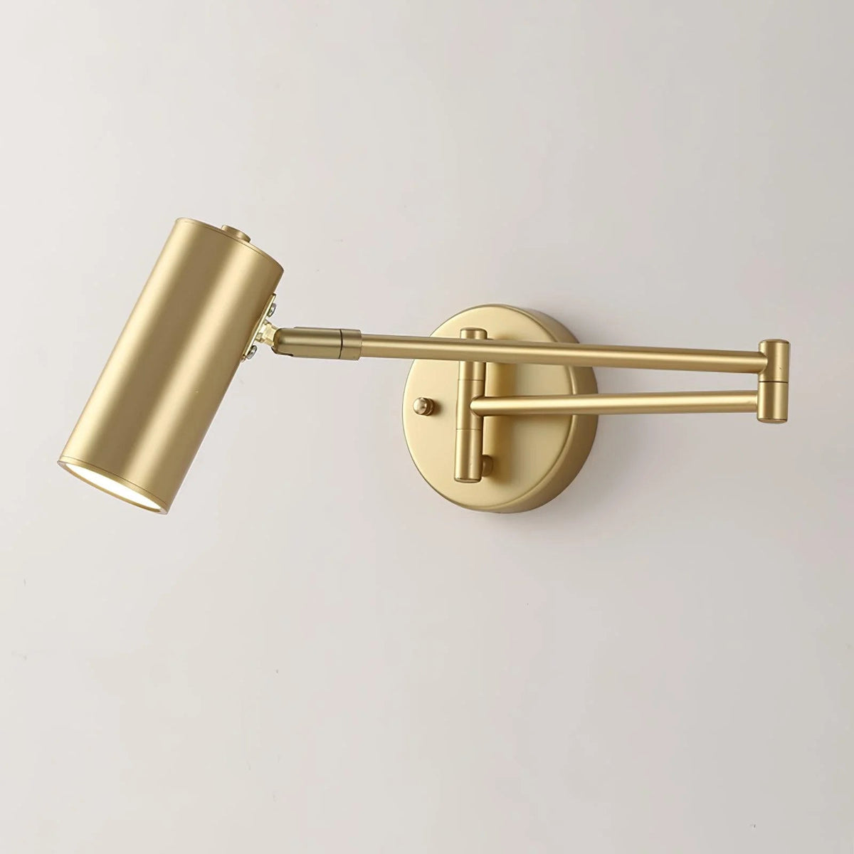 Flexible Arm Wall Light