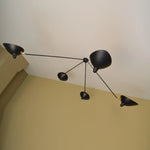 Celestial Curve Ceiling Light