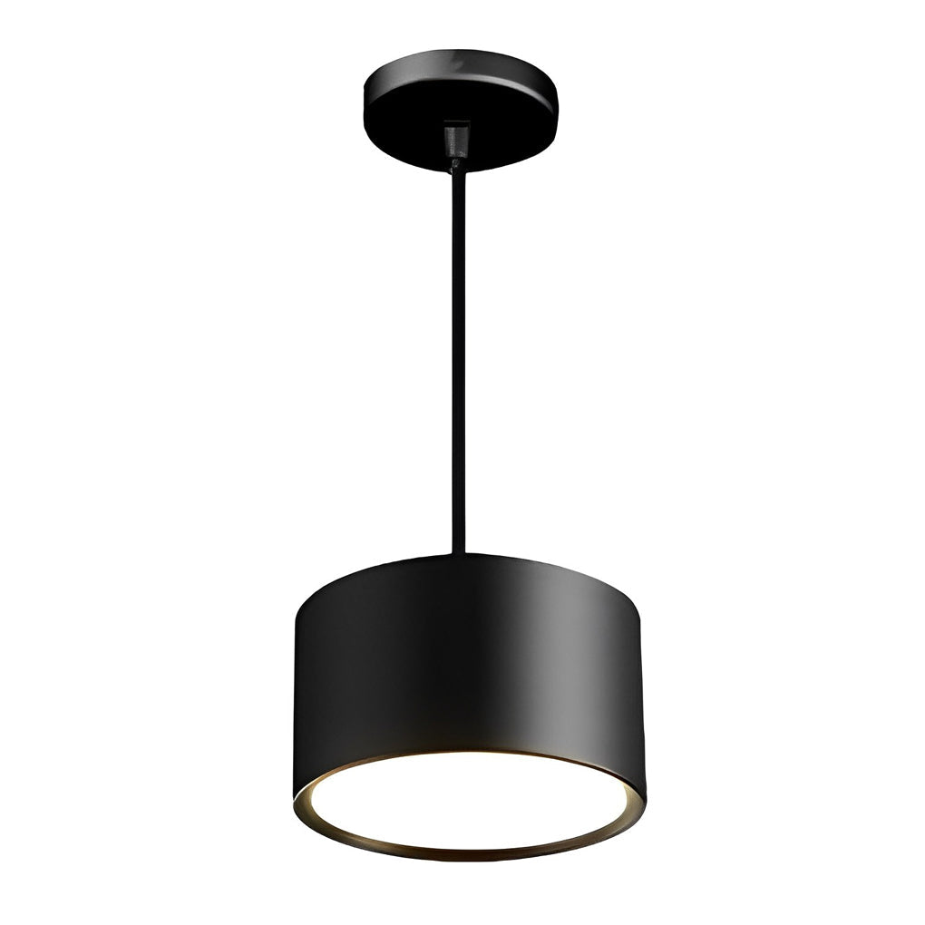 Cylindrical Hanging Downlight Li002417