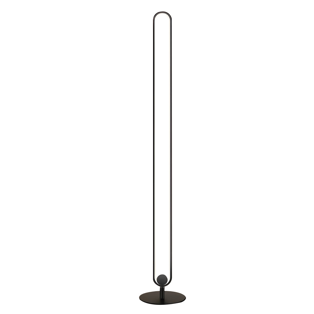 Modern Minimalist Led Standing Oval Floor Lamp