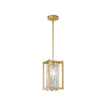 Iron Frame Modern Ceiling Light Li002701