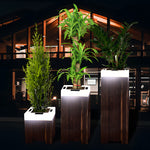 Square Waterproof Illuminated Planters Solar Light Li002652