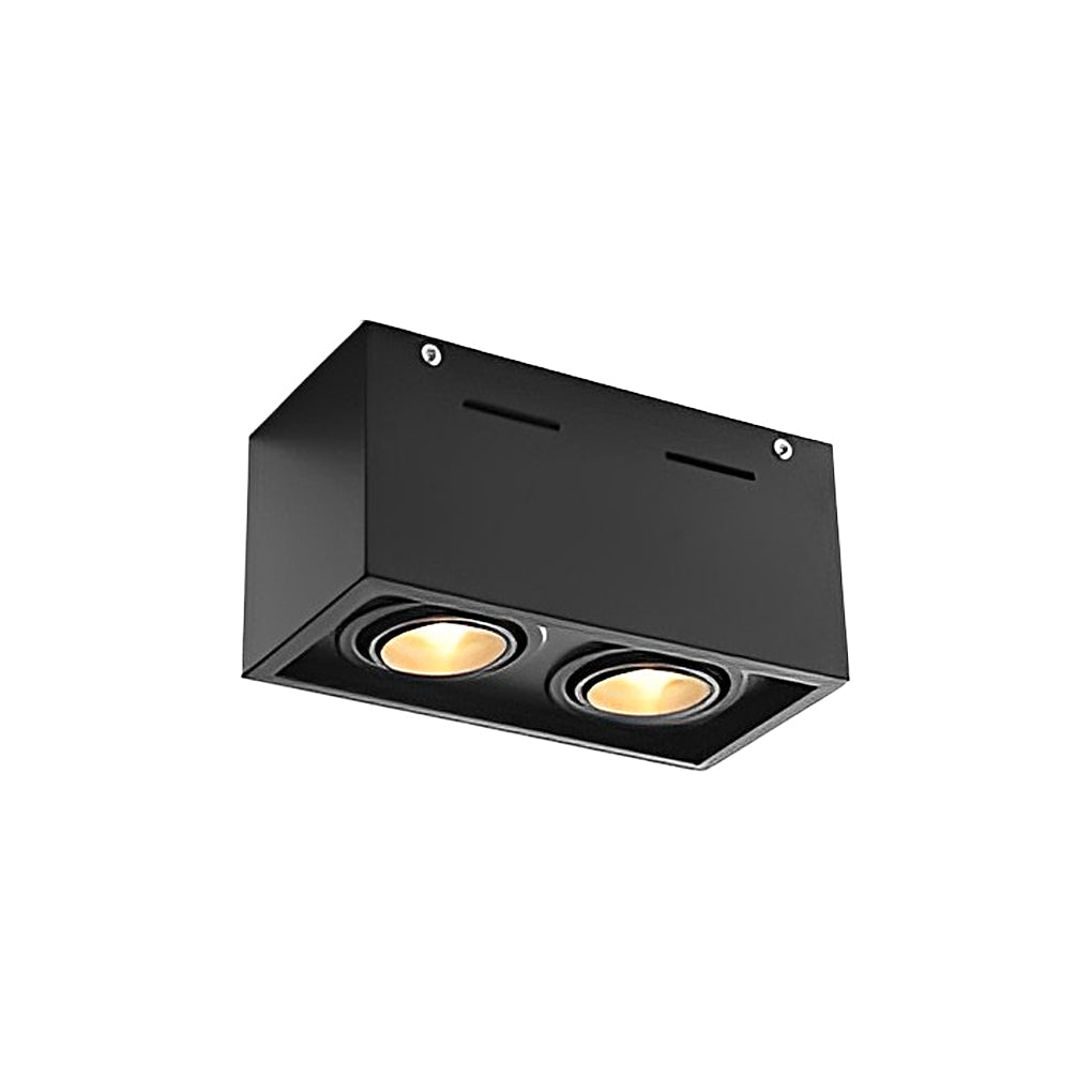 Modern Rectangular LED Surface Mounted Spotlights, Adjustable 2-Light Ceiling Fixture