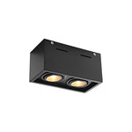 Modern Rectangular LED Surface Mounted Spotlights, Adjustable 2-Light Ceiling Fixture